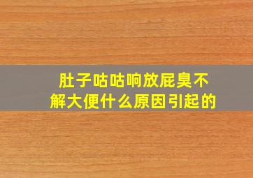 肚子咕咕响放屁臭不解大便什么原因引起的