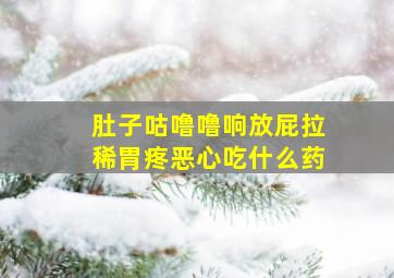 肚子咕噜噜响放屁拉稀胃疼恶心吃什么药