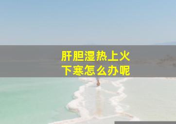 肝胆湿热上火下寒怎么办呢