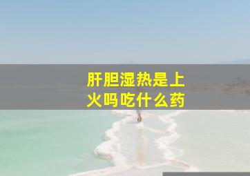 肝胆湿热是上火吗吃什么药