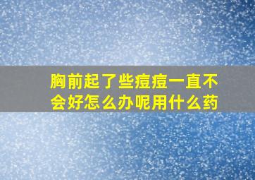 胸前起了些痘痘一直不会好怎么办呢用什么药