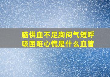 脑供血不足胸闷气短呼吸困难心慌是什么血管