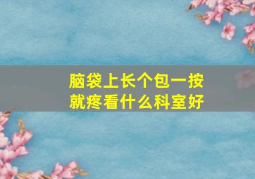 脑袋上长个包一按就疼看什么科室好