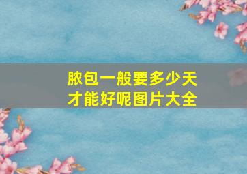 脓包一般要多少天才能好呢图片大全