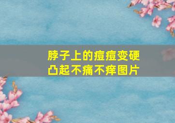 脖子上的痘痘变硬凸起不痛不痒图片