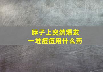 脖子上突然爆发一堆痘痘用什么药