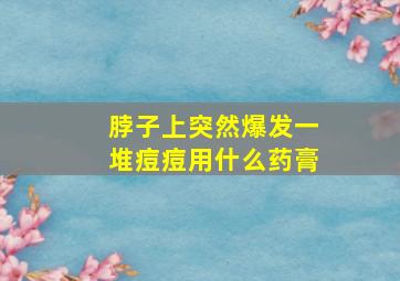 脖子上突然爆发一堆痘痘用什么药膏