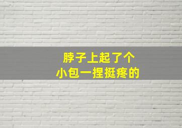 脖子上起了个小包一捏挺疼的