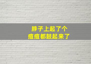 脖子上起了个痘痘都鼓起来了