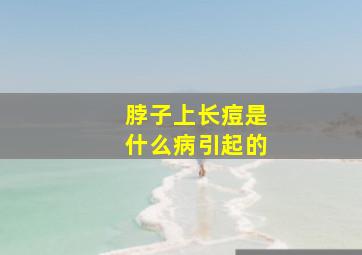 脖子上长痘是什么病引起的