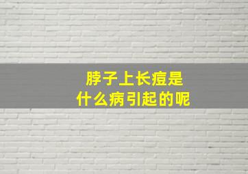 脖子上长痘是什么病引起的呢