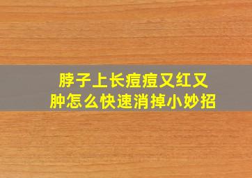 脖子上长痘痘又红又肿怎么快速消掉小妙招