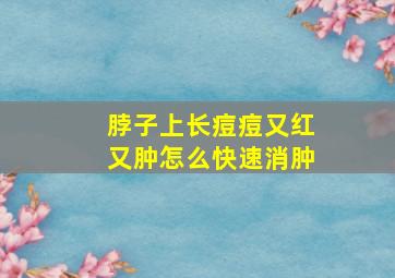 脖子上长痘痘又红又肿怎么快速消肿