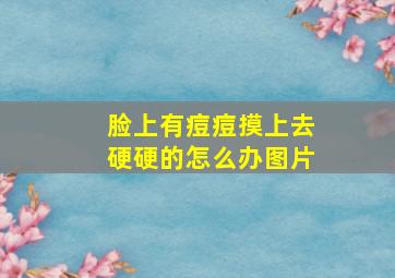 脸上有痘痘摸上去硬硬的怎么办图片