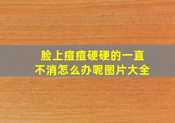 脸上痘痘硬硬的一直不消怎么办呢图片大全