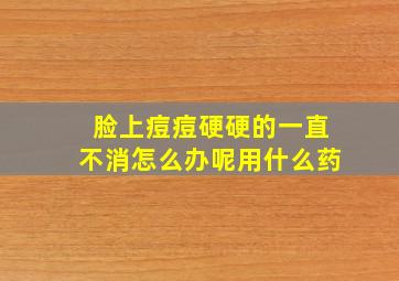 脸上痘痘硬硬的一直不消怎么办呢用什么药