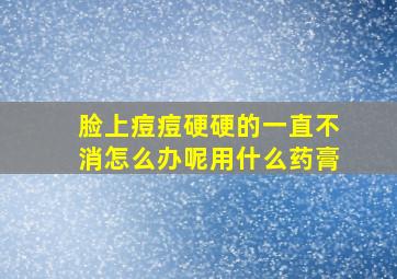 脸上痘痘硬硬的一直不消怎么办呢用什么药膏