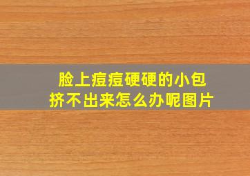 脸上痘痘硬硬的小包挤不出来怎么办呢图片