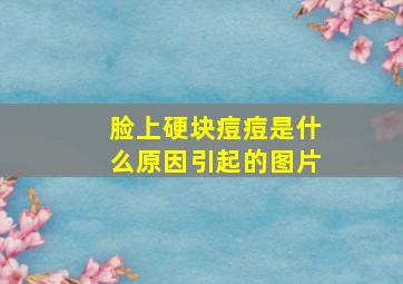 脸上硬块痘痘是什么原因引起的图片