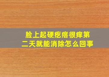 脸上起硬疙瘩很痒第二天就能消除怎么回事