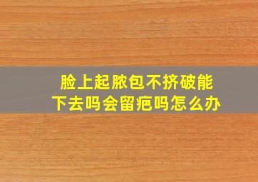 脸上起脓包不挤破能下去吗会留疤吗怎么办