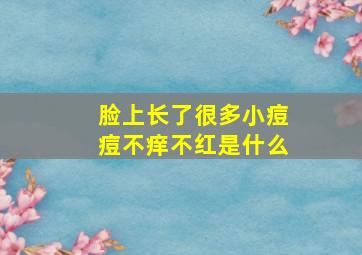 脸上长了很多小痘痘不痒不红是什么