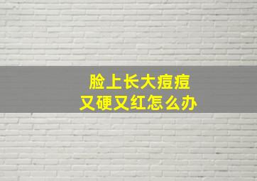 脸上长大痘痘又硬又红怎么办