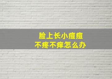 脸上长小痘痘不疼不痒怎么办