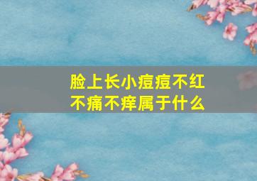 脸上长小痘痘不红不痛不痒属于什么