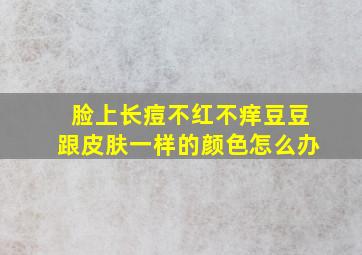 脸上长痘不红不痒豆豆跟皮肤一样的颜色怎么办