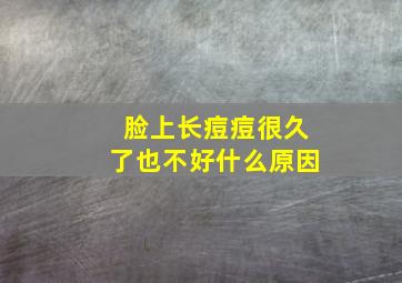 脸上长痘痘很久了也不好什么原因