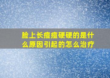 脸上长痘痘硬硬的是什么原因引起的怎么治疗