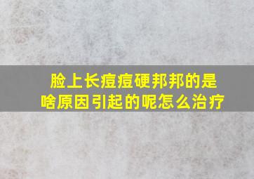 脸上长痘痘硬邦邦的是啥原因引起的呢怎么治疗