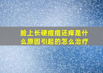 脸上长硬痘痘还痒是什么原因引起的怎么治疗