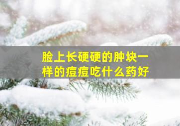 脸上长硬硬的肿块一样的痘痘吃什么药好