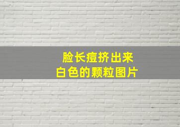 脸长痘挤出来白色的颗粒图片