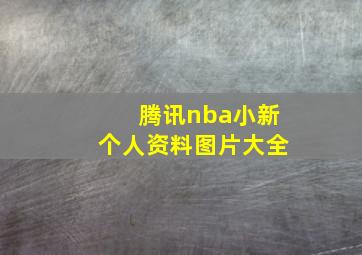 腾讯nba小新个人资料图片大全