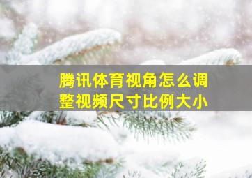 腾讯体育视角怎么调整视频尺寸比例大小