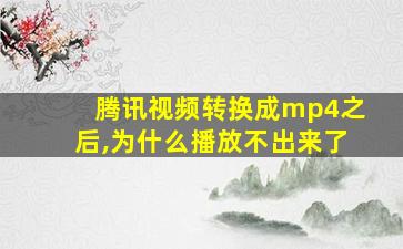 腾讯视频转换成mp4之后,为什么播放不出来了