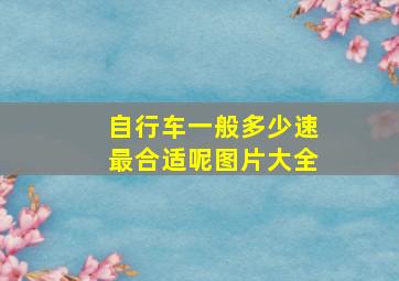 自行车一般多少速最合适呢图片大全