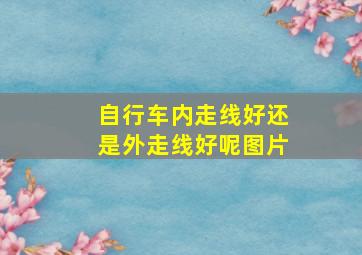 自行车内走线好还是外走线好呢图片