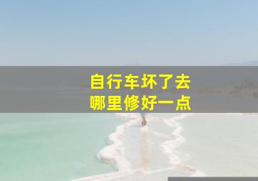 自行车坏了去哪里修好一点