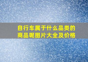 自行车属于什么品类的商品呢图片大全及价格