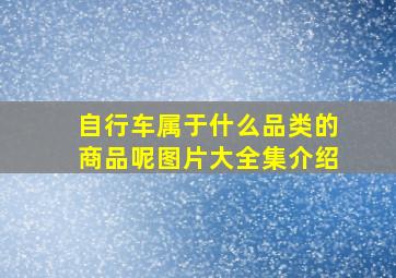 自行车属于什么品类的商品呢图片大全集介绍