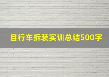 自行车拆装实训总结500字