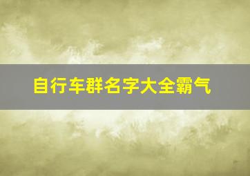 自行车群名字大全霸气