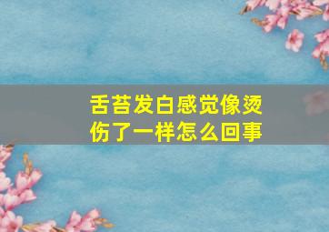 舌苔发白感觉像烫伤了一样怎么回事