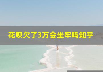 花呗欠了3万会坐牢吗知乎