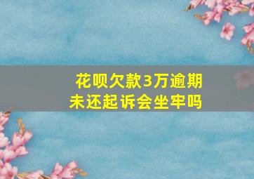 花呗欠款3万逾期未还起诉会坐牢吗