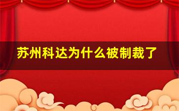 苏州科达为什么被制裁了